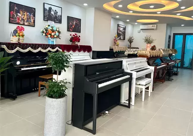 VP Art House | Nhà phân phối đàn piano chính hãng