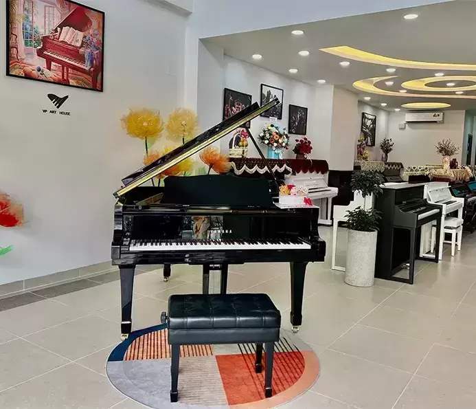 VP Art House | Nhà phân phối đàn piano chính hãng