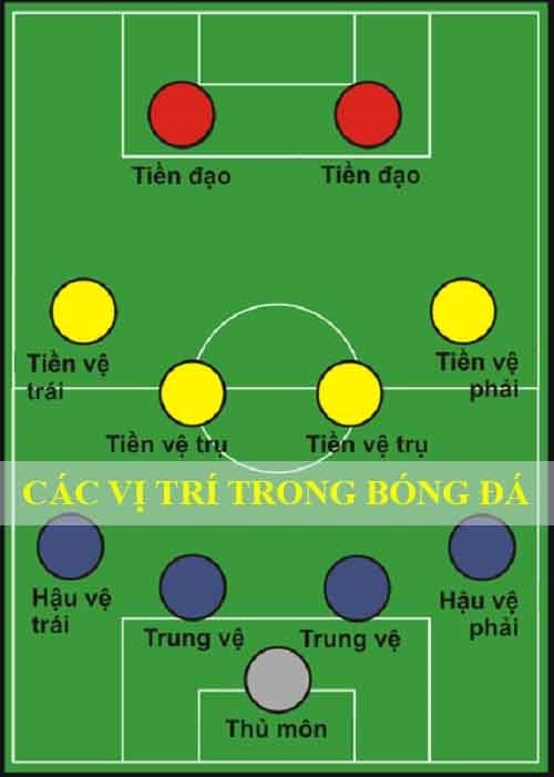 Các vị trí trong bóng đá chi tiết: Tên, ký hiệu, vai trò, ý nghĩa