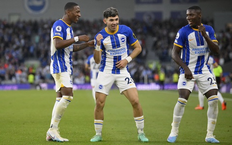 Lịch sử và thành tựu của Câu lạc bộ Brighton & Hove Albion