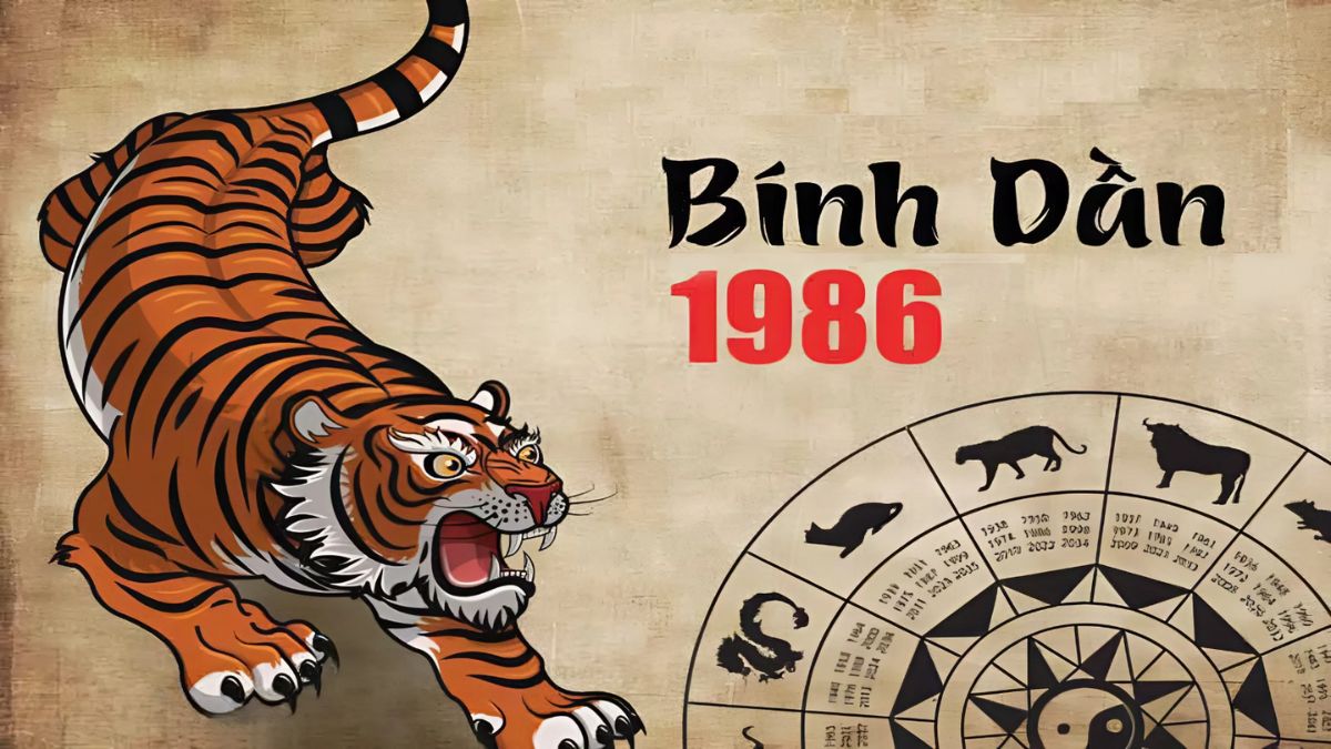 Bính Dần sinh 1986 mệnh gì? Cung gì? Hợp màu gì?