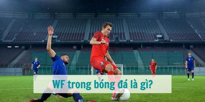 WF Trong Bóng Đá Là Gì? Tầm Quan Trọng Của WF Trên Sân Bóng
